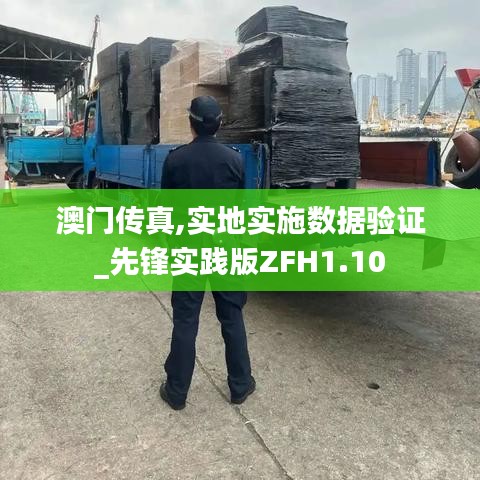 澳门传真,实地实施数据验证_先锋实践版ZFH1.10