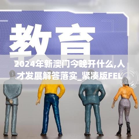 2024年新澳门今晚开什么,人才发展解答落实_紧凑版FEL8.30