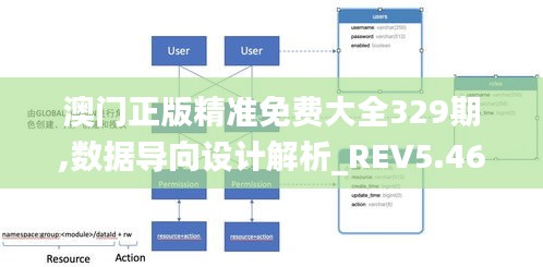 澳门正版精准免费大全329期,数据导向设计解析_REV5.46