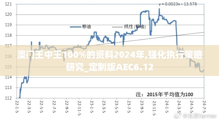 澳门王中王100%的资料2024年,强化执行策略研究_定制版AEC6.12