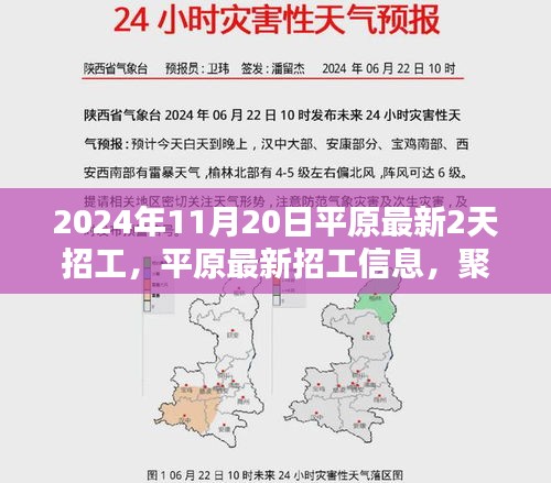 2024年11月20日平原最新2天招工，平原最新招工信息，聚焦2024年11月20日的两大招工热点与未来趋势分析