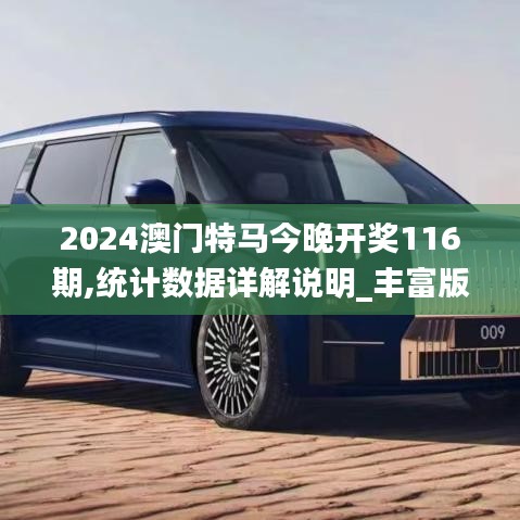 2024澳门特马今晚开奖116期,统计数据详解说明_丰富版SBD8.59