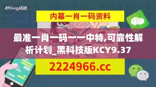 最准一肖一码一一中特,可靠性解析计划_黑科技版KCY9.37