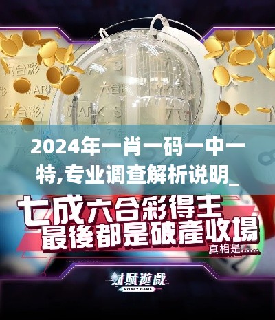 2024年一肖一码一中一特,专业调查解析说明_创新版UNK1.69