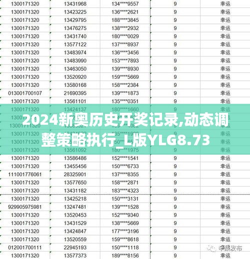 2024新奥历史开奖记录,动态调整策略执行_L版YLG8.73