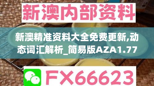 新澳精准资料大全免费更新,动态词汇解析_简易版AZA1.77