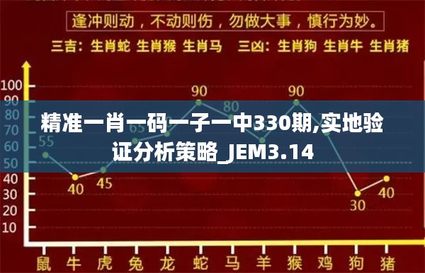 精准一肖一码一子一中330期,实地验证分析策略_JEM3.14