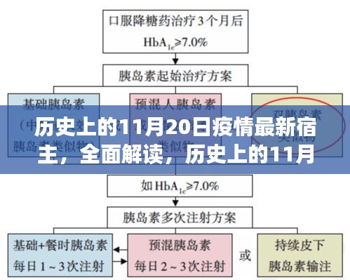 历史上的11月20日疫情宿主深度解读与产品测评报告