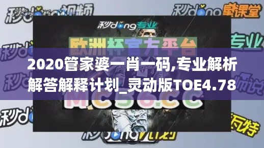 2020管家婆一肖一码,专业解析解答解释计划_灵动版TOE4.78