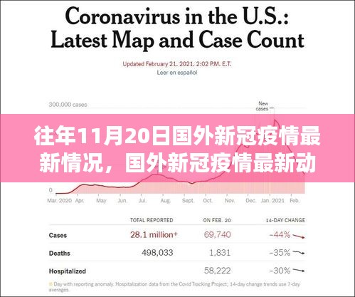 往年11月20日国外新冠疫情回顾与最新动态，了解疫情情况的途径和最新进展