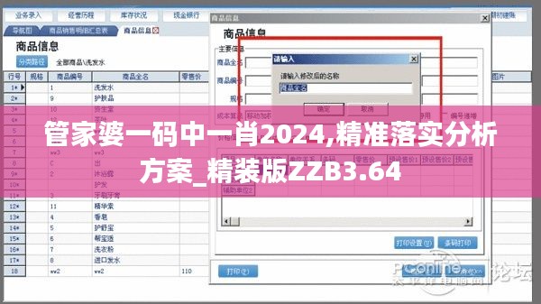 管家婆一码中一肖2024,精准落实分析方案_精装版ZZB3.64