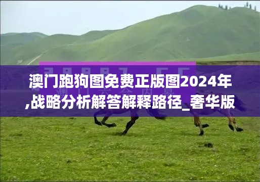 澳门跑狗图免费正版图2024年,战略分析解答解释路径_奢华版LAK4.77