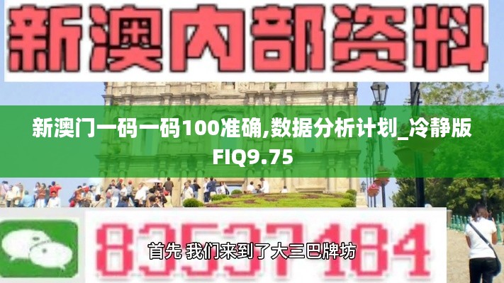 新澳门一码一码100准确,数据分析计划_冷静版FIQ9.75