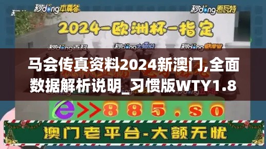 马会传真资料2024新澳门,全面数据解析说明_习惯版WTY1.80