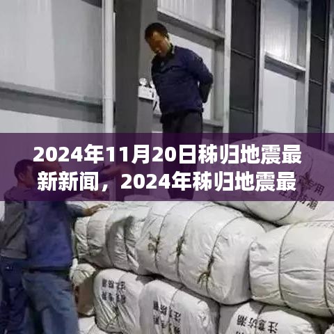 2024年11月20日秭归地震最新新闻，2024年秭归地震最新新闻，掌握应对地震的技能与步骤指南