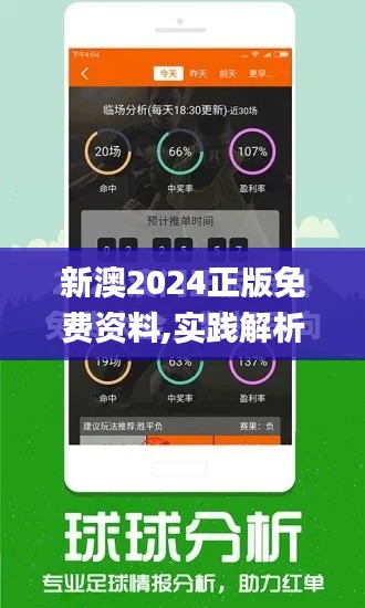 新澳2024正版免费资料,实践解析说明_护眼版LFQ1.34