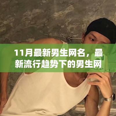 11月男生网名流行趋势与变迁，精选与争议