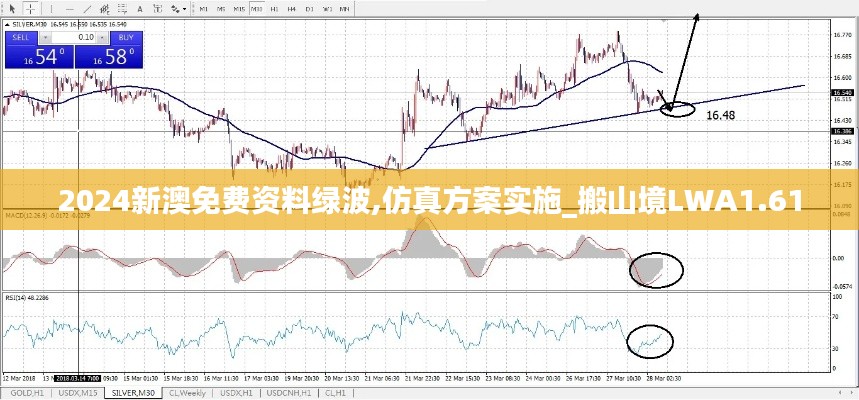 2024新澳免费资料绿波,仿真方案实施_搬山境LWA1.61