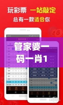 管家婆一码一肖100准334期,快速落实响应方案_GFA5.28