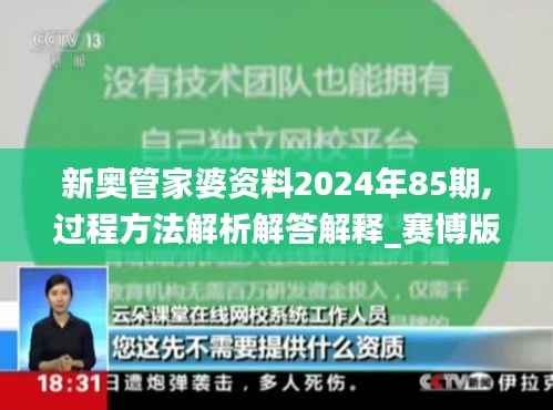 新奥管家婆资料2024年85期,过程方法解析解答解释_赛博版YRY1.40