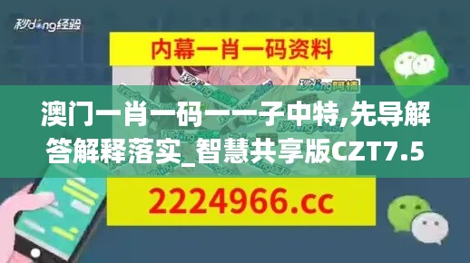 澳门一肖一码一一子中特,先导解答解释落实_智慧共享版CZT7.50