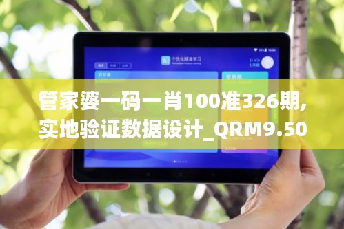 管家婆一码一肖100准326期,实地验证数据设计_QRM9.50