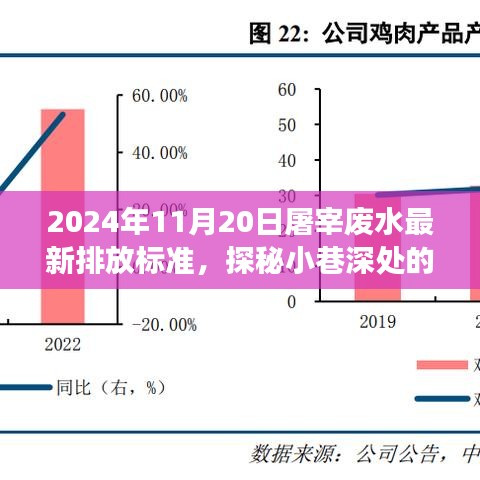 探秘绿色先锋，屠宰废水新标准下的小巷环保之旅，2024年最新排放标准揭秘