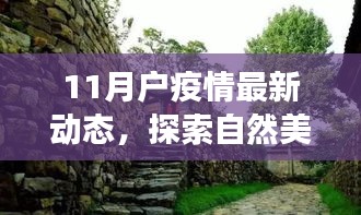 11月疫情动态下的别样自然之旅，宁静之旅与别样旅行体验