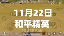 揭秘和平精英表情包新纪元，揭秘11月22日表情包背后的故事与影响