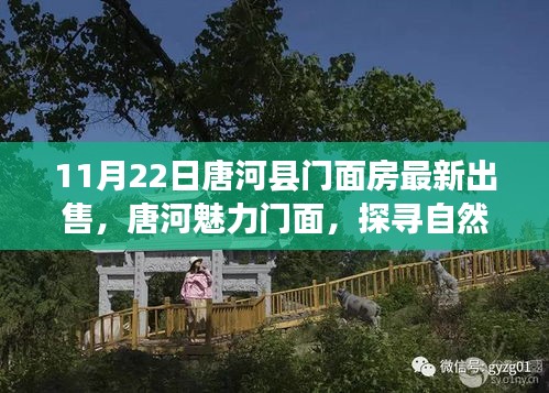 唐河县门面房最新出售，启程探寻自然美景与心灵宁静之旅