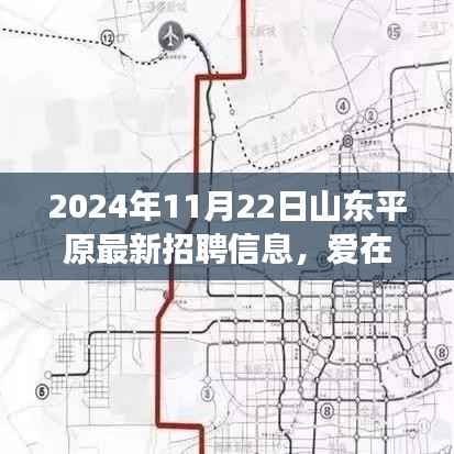 2024年11月22日山东平原最新招聘信息，爱在山东平原，一场招聘之旅的温馨故事