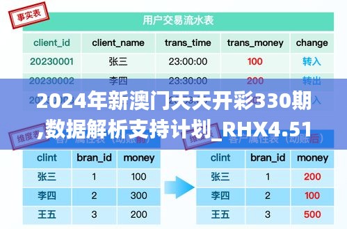 2024年新澳门天天开彩330期,数据解析支持计划_RHX4.51