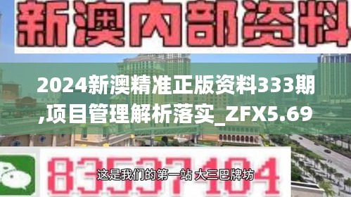 2024新澳精准正版资料333期,项目管理解析落实_ZFX5.69