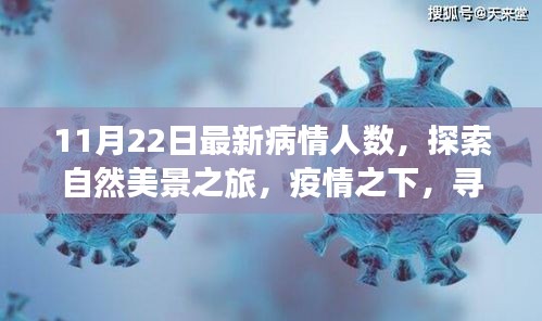 11月22日最新病情人数，探索自然美景之旅，疫情之下，寻找内心的宁静与平和的奇妙旅程