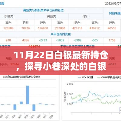 探寻白银宝藏，最新持仓与独特小店的秘密（白银市场深度解析）