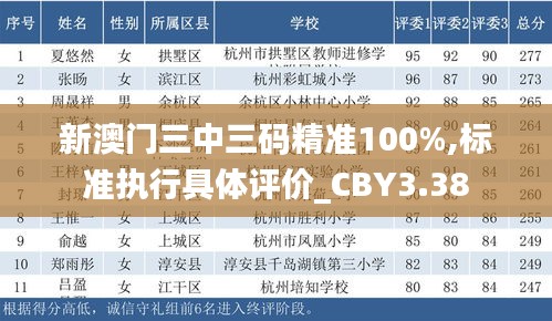 新澳门三中三码精准100%,标准执行具体评价_CBY3.38