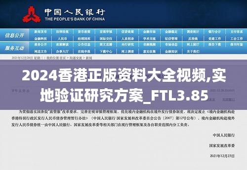 2024香港正版资料大全视频,实地验证研究方案_FTL3.85