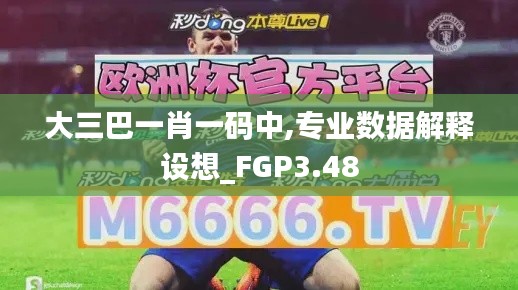 大三巴一肖一码中,专业数据解释设想_FGP3.48