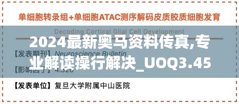 2024最新奥马资料传真,专业解读操行解决_UOQ3.45