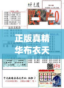 正版真精华布衣天下,持续改进策略_IDT3.84