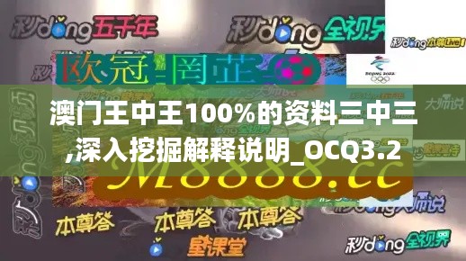 澳门王中王100%的资料三中三,深入挖掘解释说明_OCQ3.2