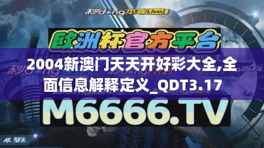 2004新澳门天天开好彩大全,全面信息解释定义_QDT3.17