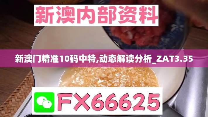 新澳门精准10码中特,动态解读分析_ZAT3.35