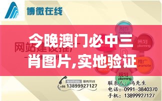 今晚澳门必中三肖图片,实地验证策略具体_IGH3.67