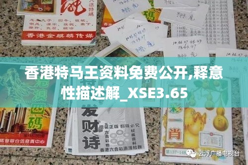 香港特马王资料免费公开,释意性描述解_XSE3.65