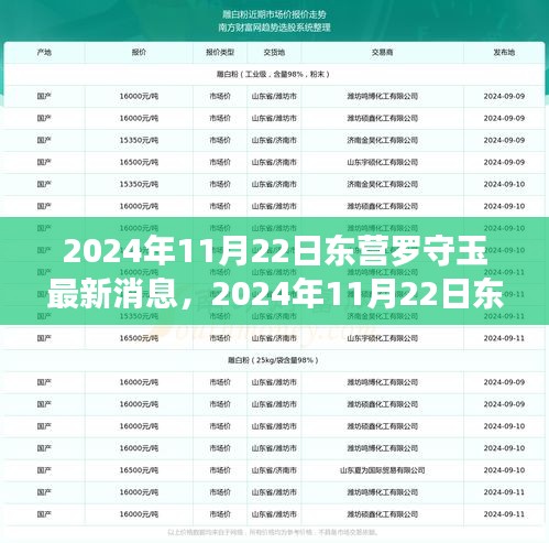 2024年11月22日东营罗守玉最新消息，2024年11月22日东营罗守玉最新动态，聚焦发展，探寻未来之路