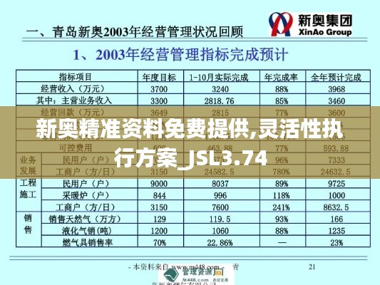 新奥精准资料免费提供,灵活性执行方案_JSL3.74