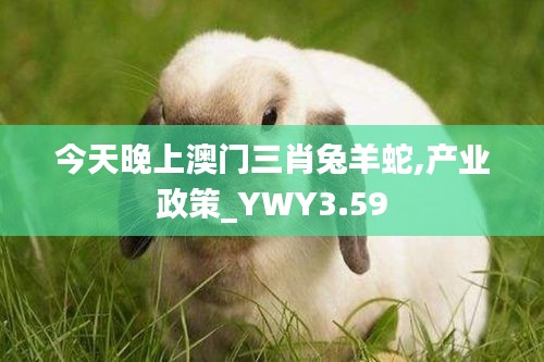 今天晚上澳门三肖兔羊蛇,产业政策_YWY3.59