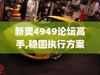 新奥4949论坛高手,稳固执行方案计划_DKM3.70