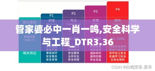 管家婆必中一肖一鸣,安全科学与工程_DTR3.36